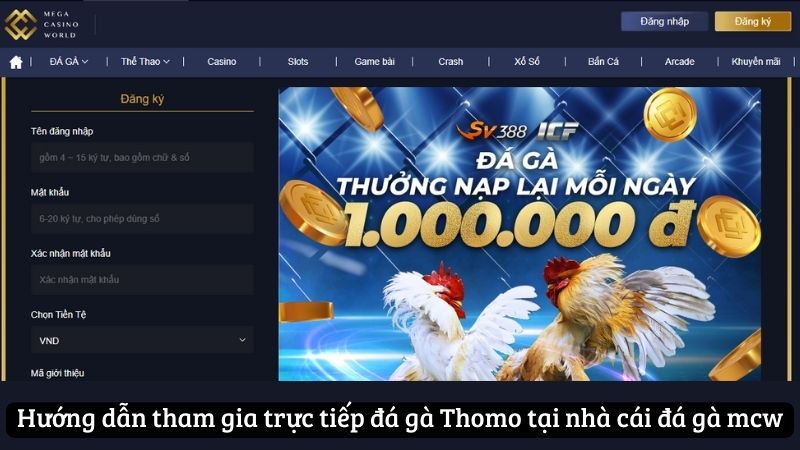 truc-tiep-da-ga-thomo---trai-nghiem-kich-tinh-tren-web-da-ga-mcw