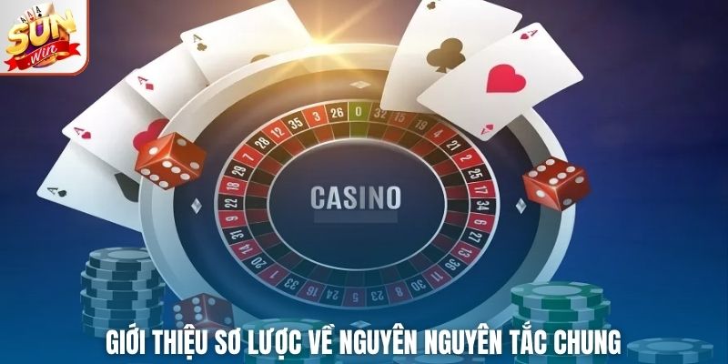 Giới thiệu sơ lược về nguyên nguyên tắc chung